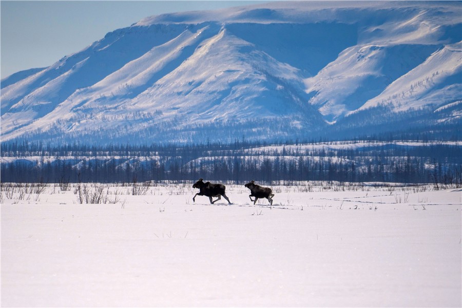 Фото Михаила Волкова и Александра Ульянова